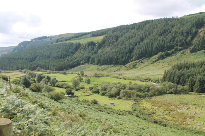 Wicklow Mountains, Sally Gap