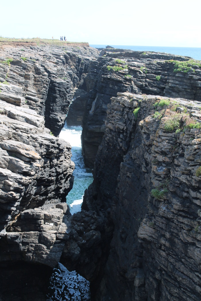 Hook Head, la scogliera