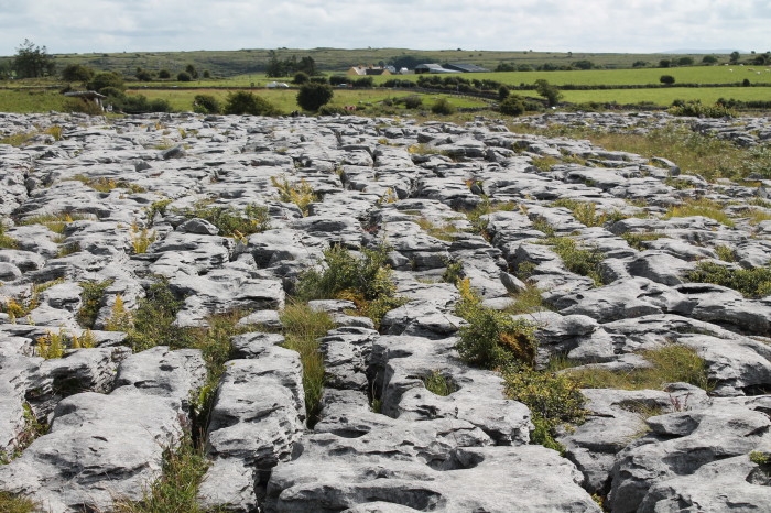 Burren, fessure nel terreno