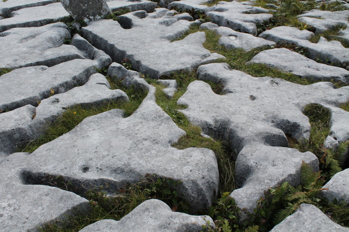 Burren, particolare delle fessure del terreno