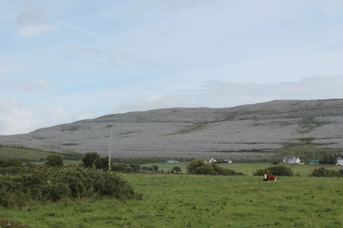 Burren