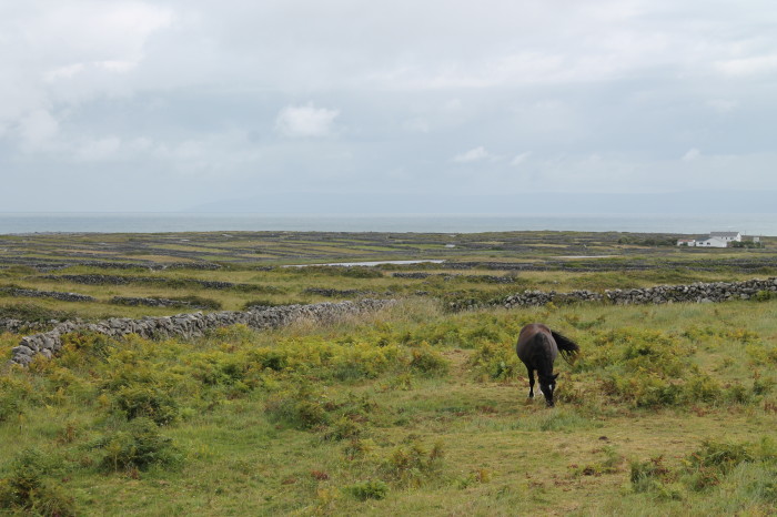 Isole Aran, Inis Mór